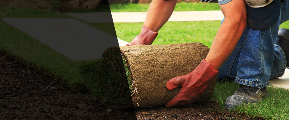 Kenmore Landscapers